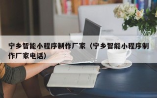 诸暨宁乡智能小程序制作厂家（宁乡智能小程序制作厂家电话）